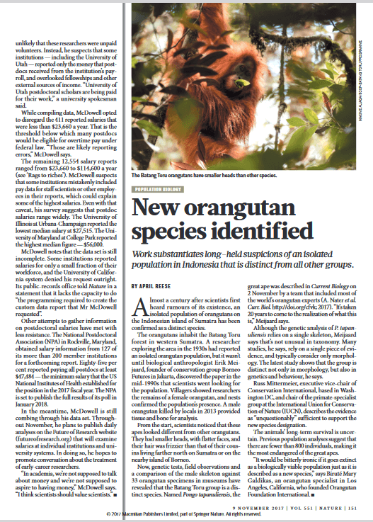 Tapanuli orangutan new species described