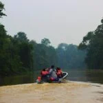 rainforest, adventure, asia-5262345.jpg