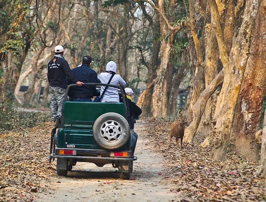 Diphlu_Jeep safari at Kaziranga Park