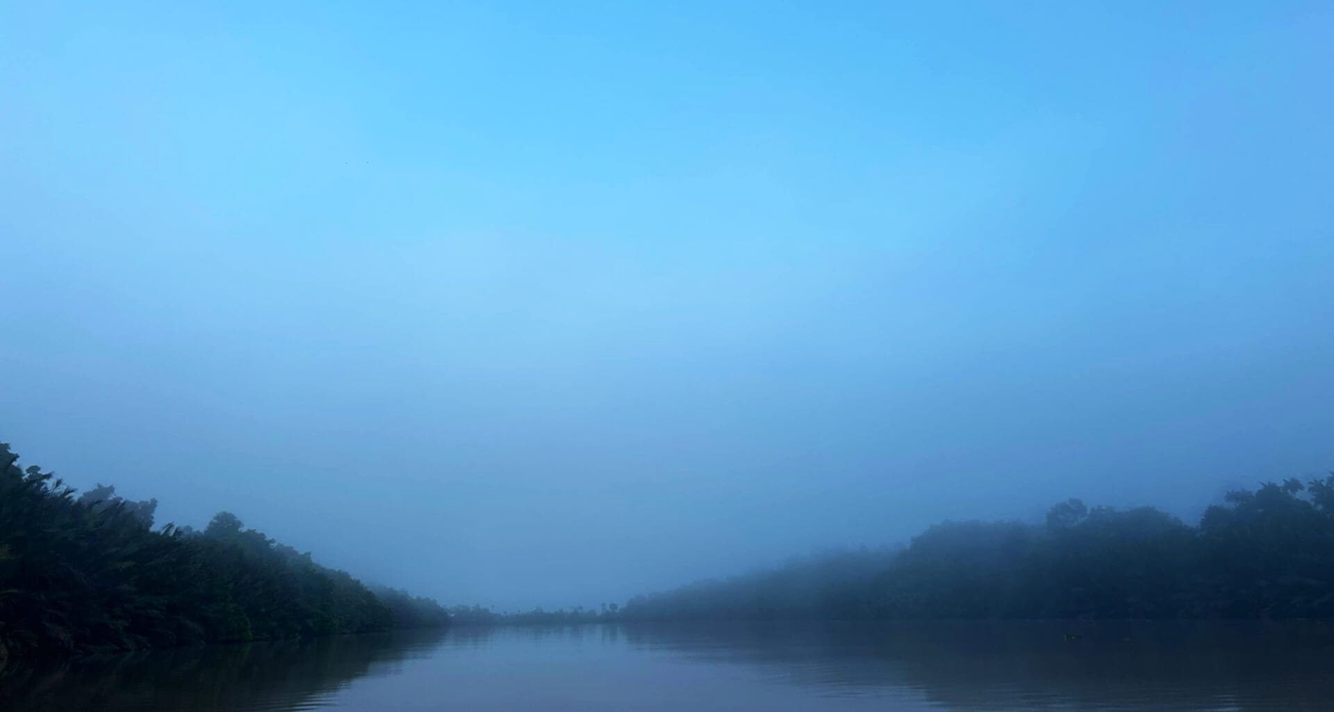 5D4N Kinabatangan River Cruise