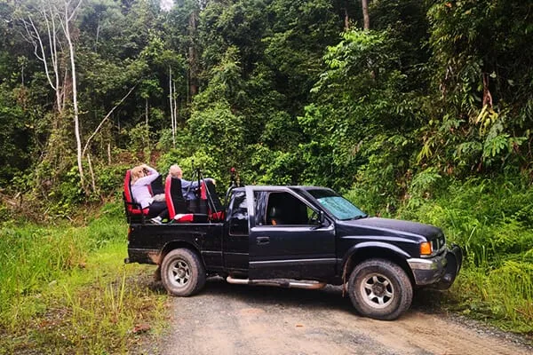 4Wd Safari Game Drive in Deramakot Forest Reserve