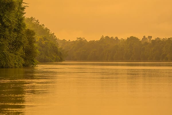 A misty dawn river cruise on the Kinabatangan River in a traditional wooden boat