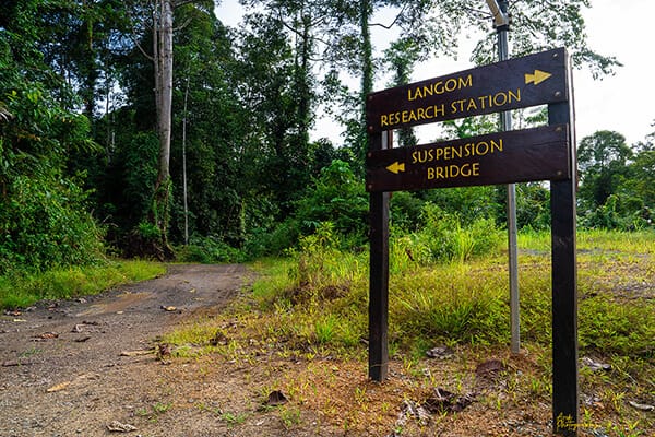 Langom-road