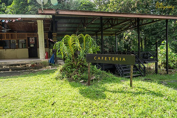 infapro-cafeteria infapro-cafeteria
