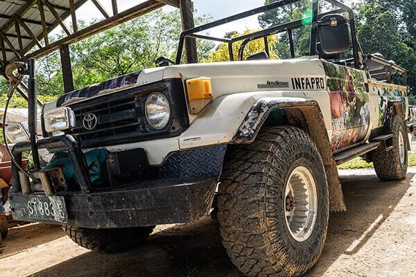 Deramakot alternative Infapro, Danum Valley