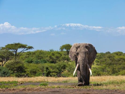 GreatPlains-Kenya-ChyuluHills-09