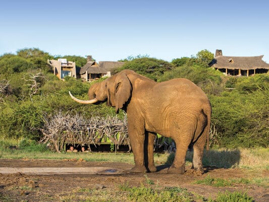 GreatPlains-Kenya-olDonyoLodge-11
