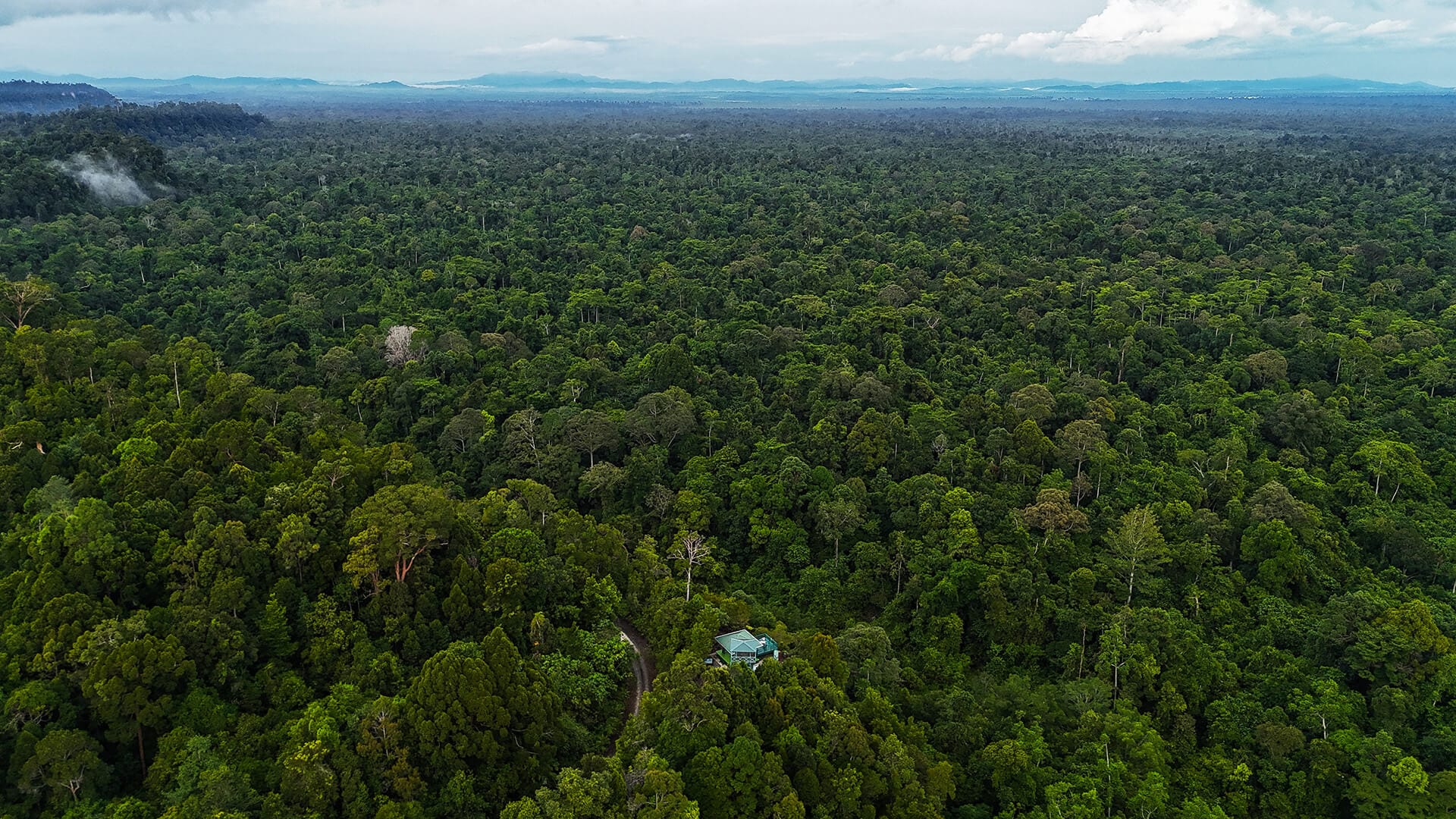 Aerial view of Trusan Sugut Rainforest