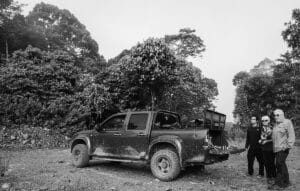 4WD safari in Deramakot