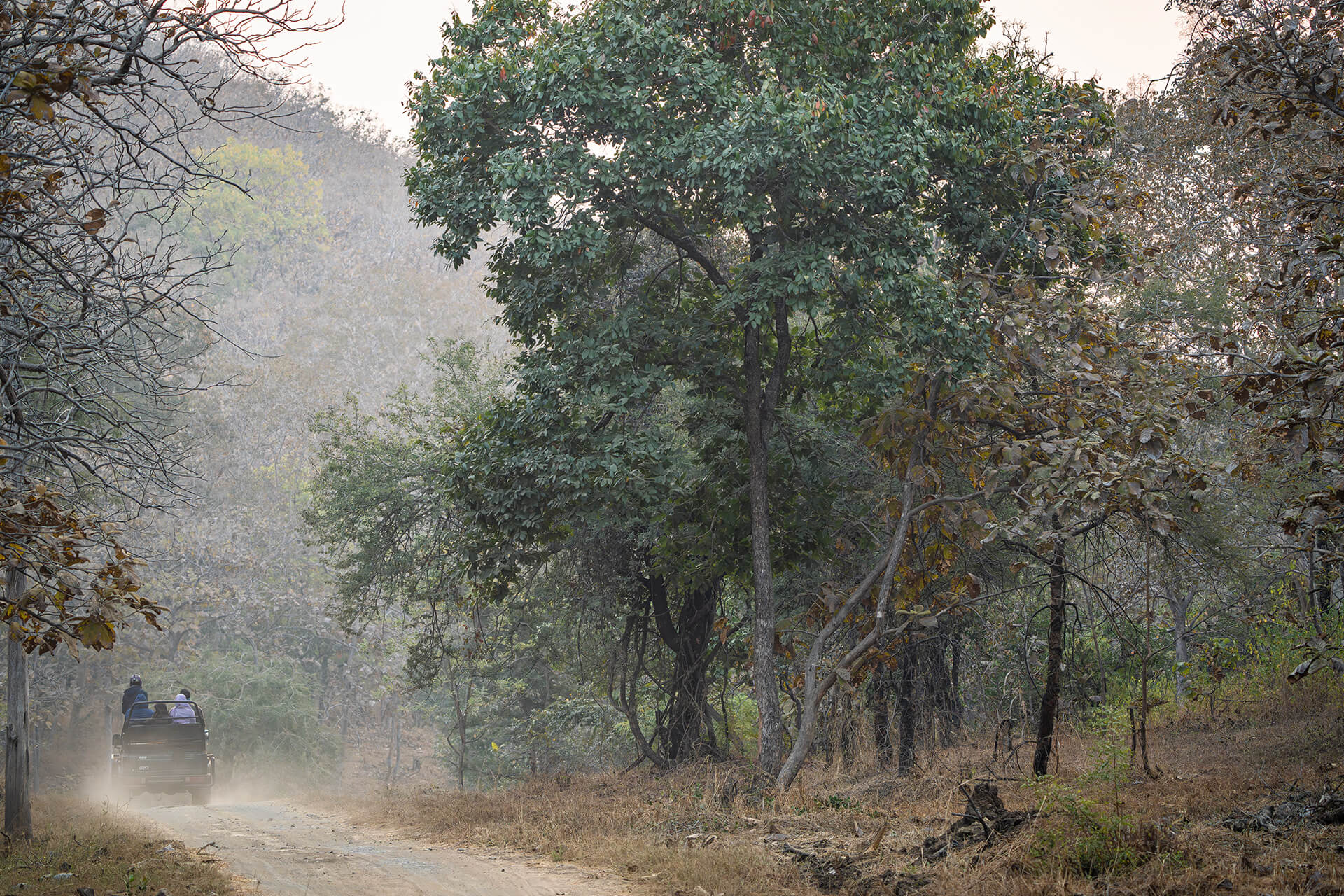 Satpura — The Denwa backwaters — the setting for Satpura's signature canoe safari experience
