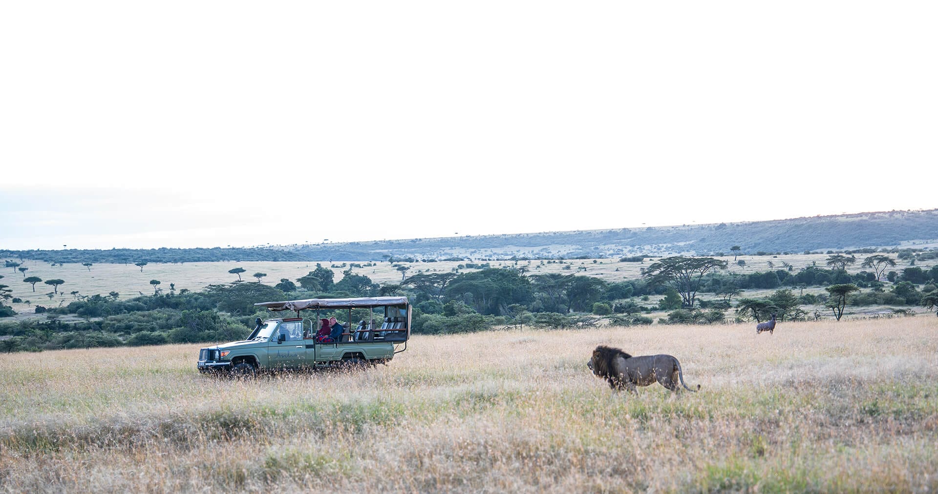 A morning safari drive in a private conservancy in Kenya
