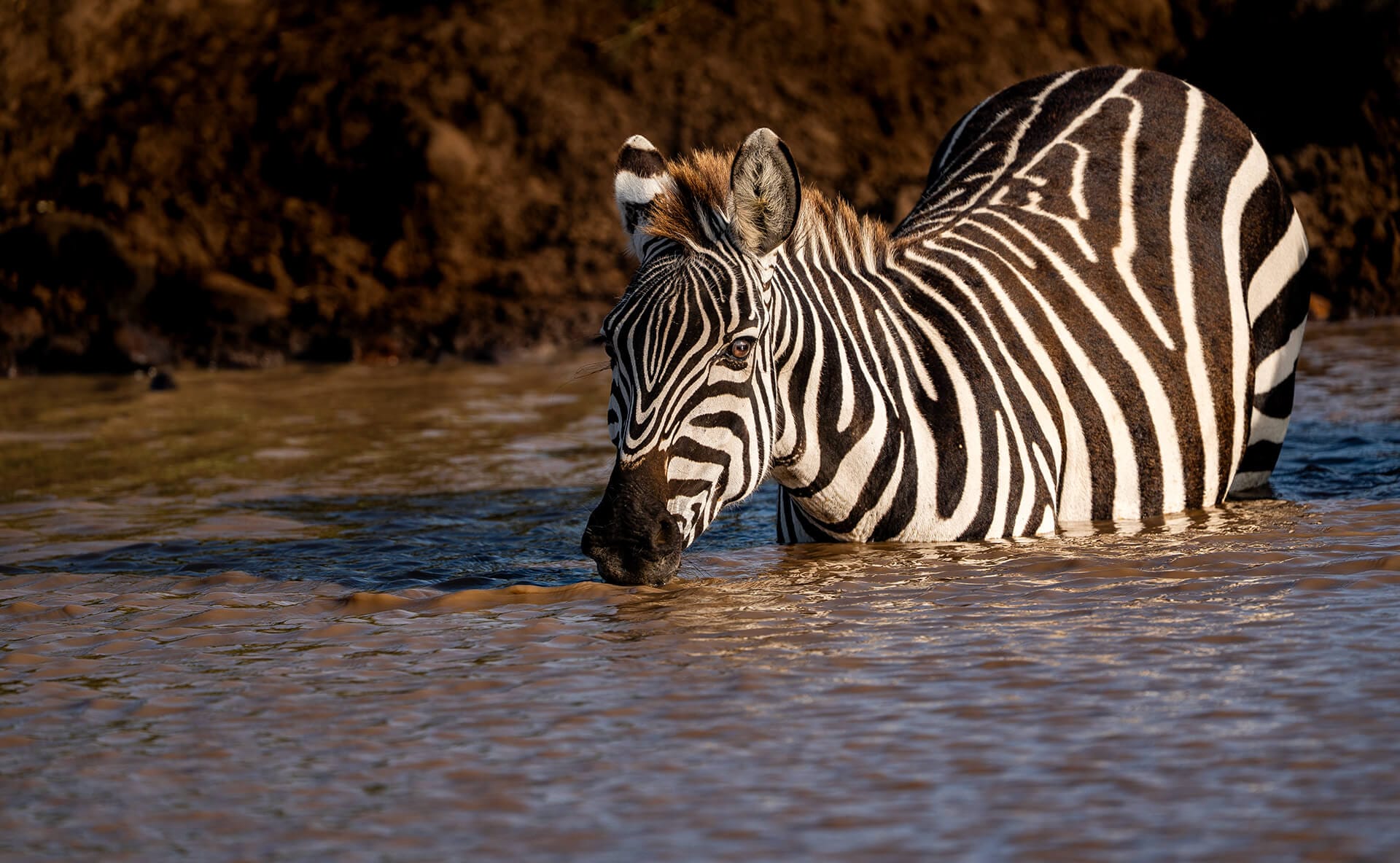 Tanzania, The Endless Plain safari destination