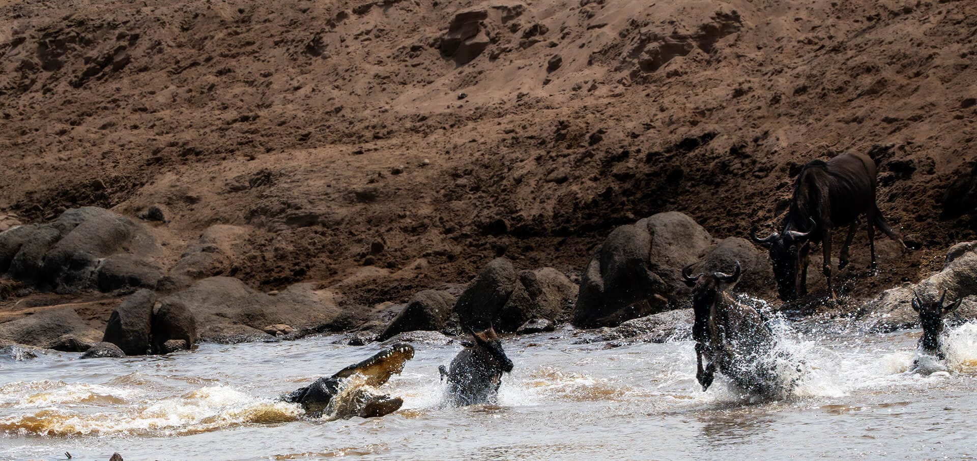 Mara Triangle — Mara River crossing point, Masai Mara Kenya