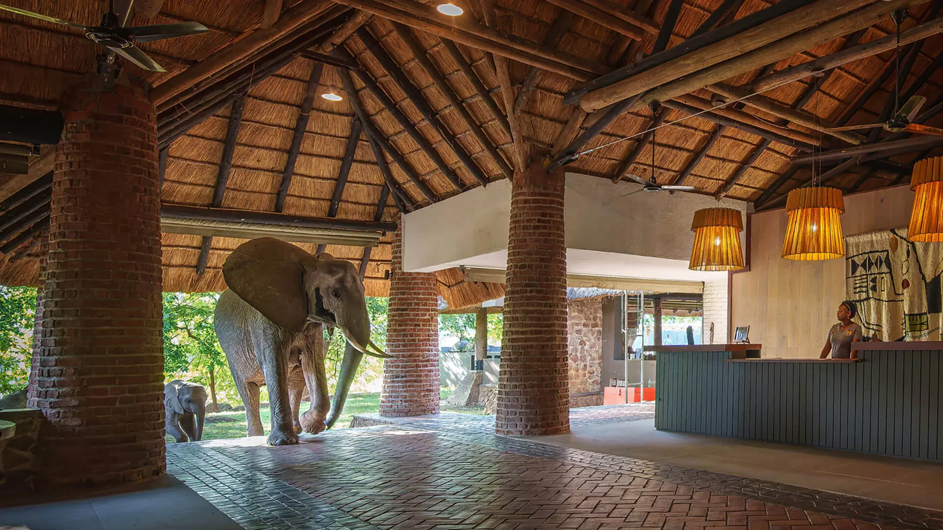 Owner-run bushcamp in South Luangwa, Zambia