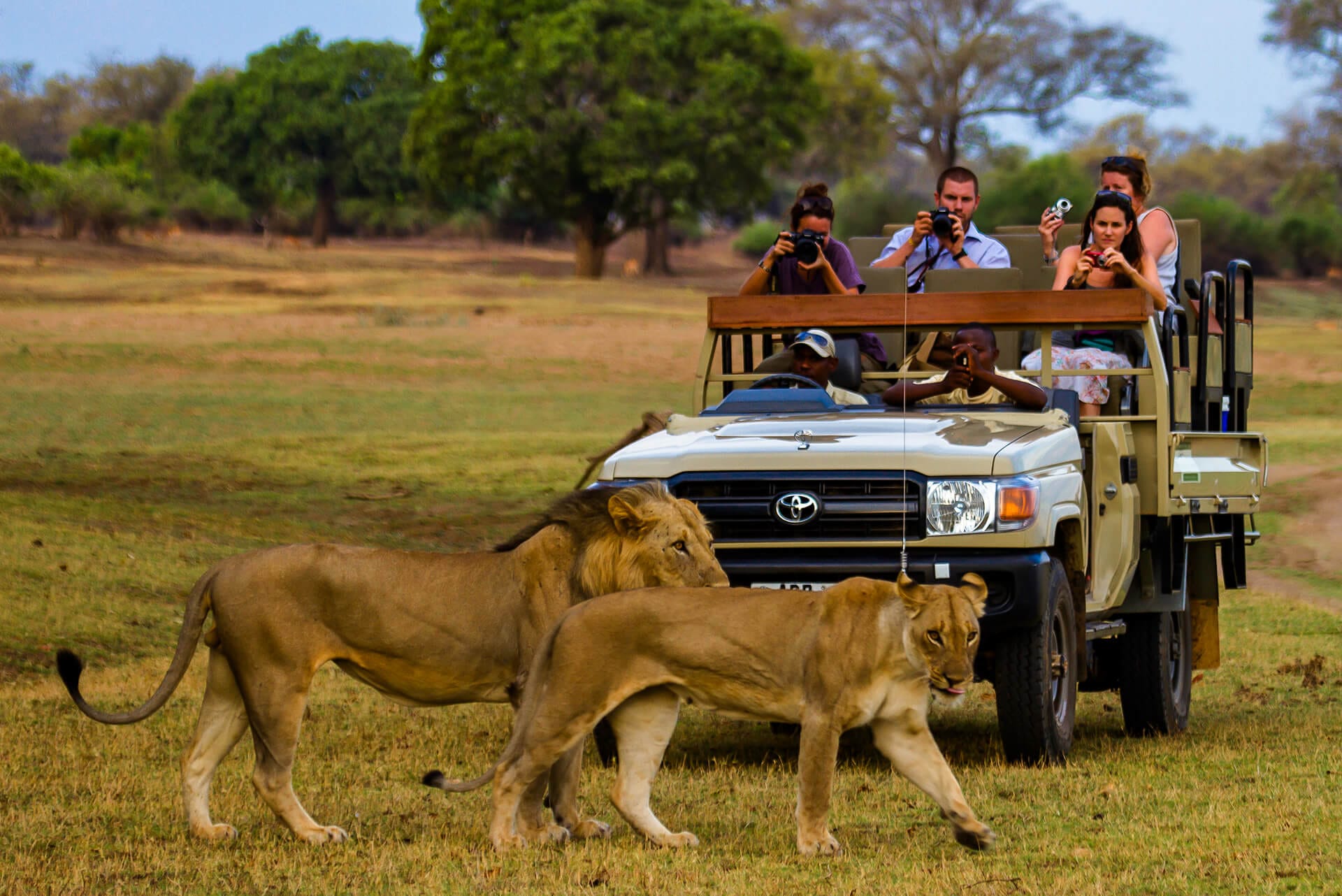 Track & Trail River Camp organise an Intimate Safari experience in Luangwa valley