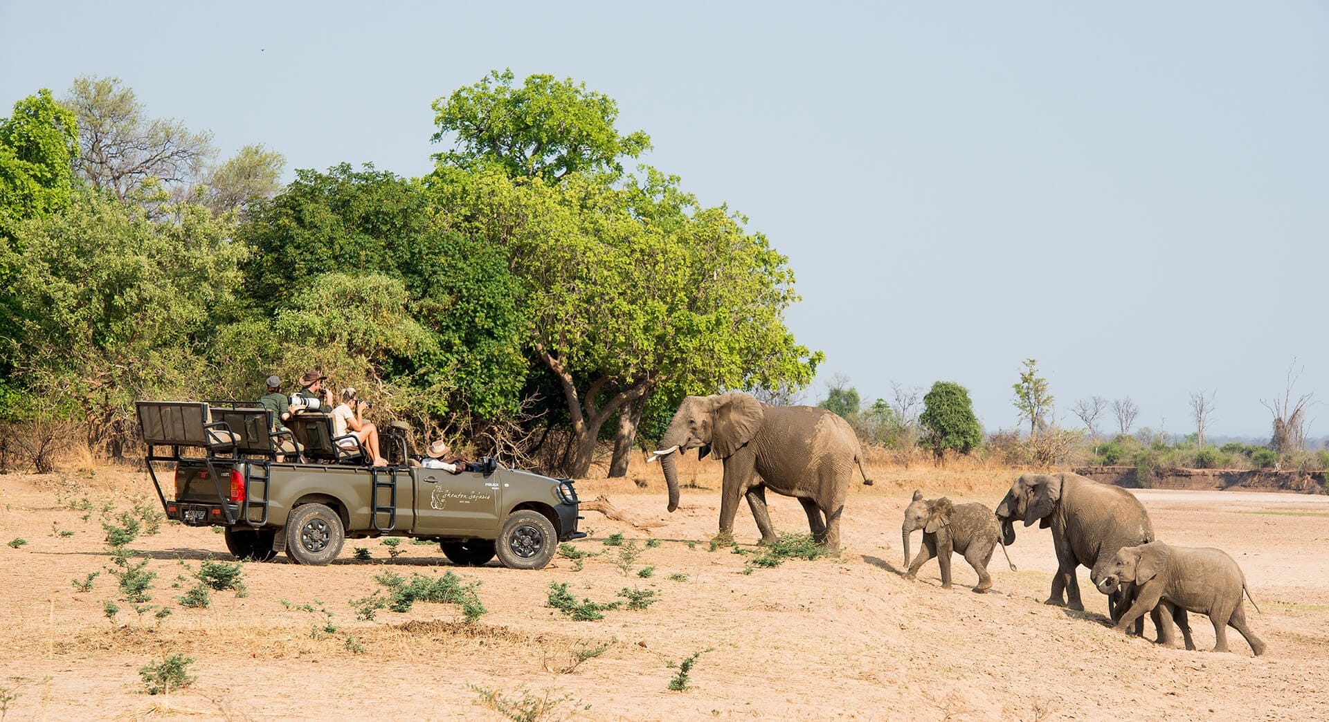 Close encounter with elephant herd is quite common