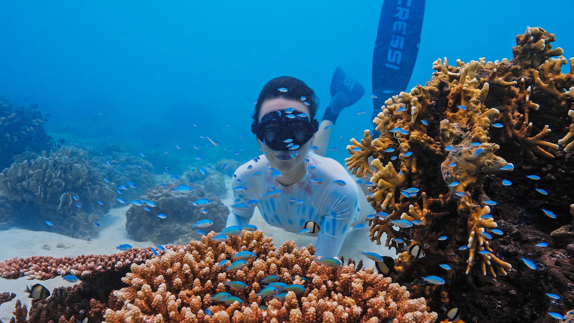 Diver over the coral reefs of Lankayan
