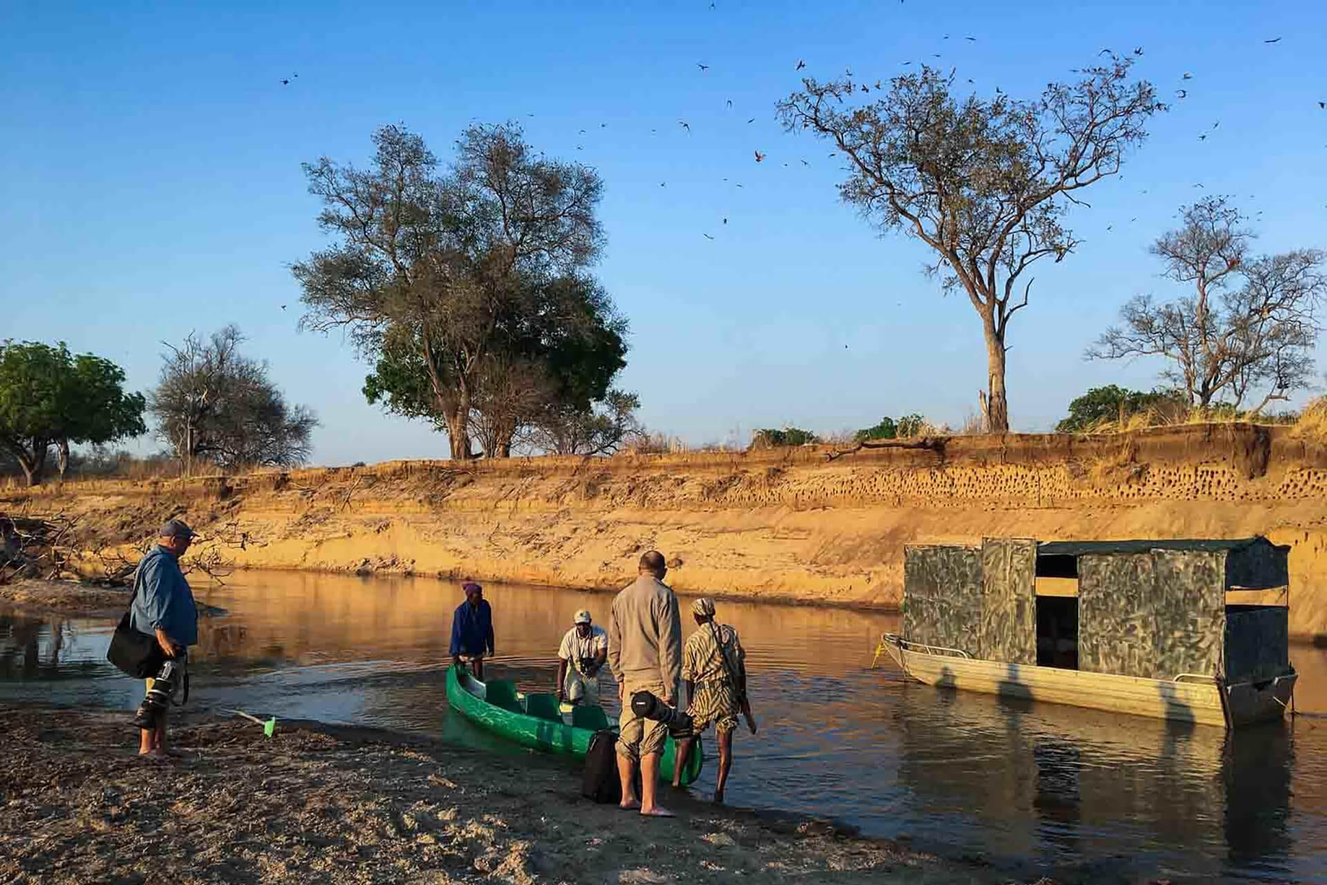 Photographer at close proximity with Carmine Bee-eaters colony inside a Kaingo hide