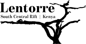 Lentorre