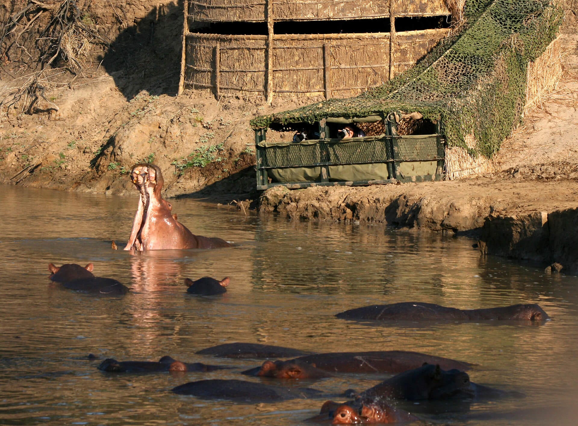 Photographioc hide of Kaingo camp on eye level