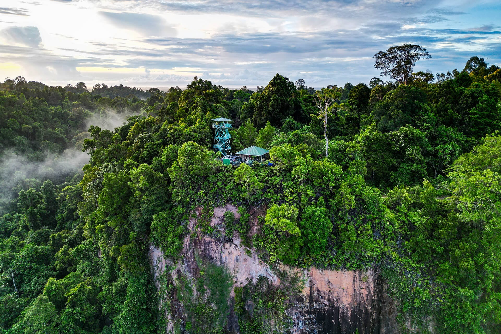 Trusan Sugut Forest Reserve, Borneo