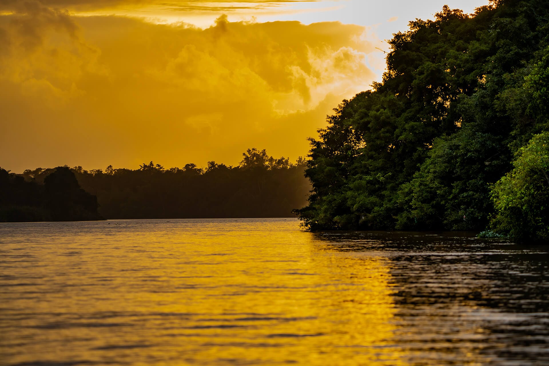 Riverfront dining deck overlooking the Kinabatangan River at dusk