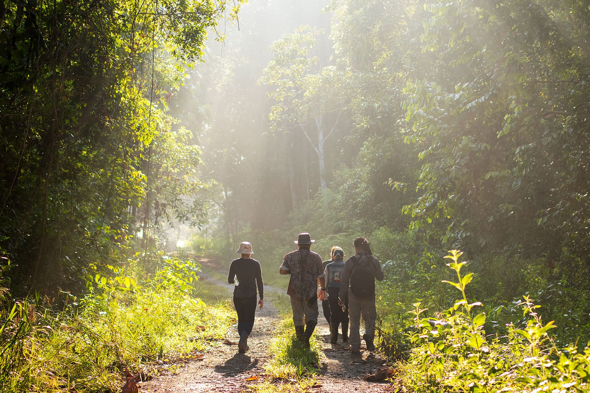 Utan Guided Walk on Forest Trail
