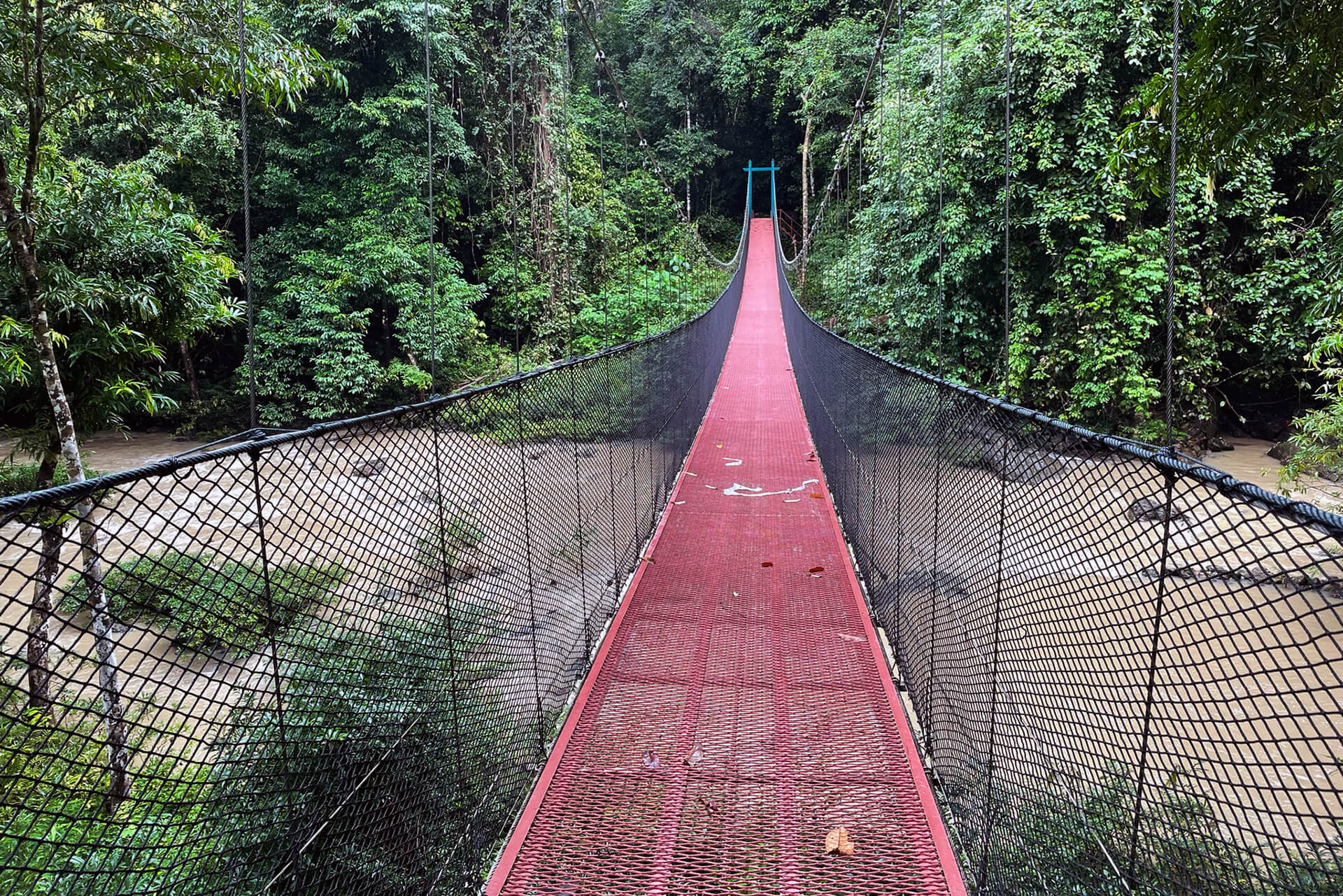 Hanging bridge at Tabin