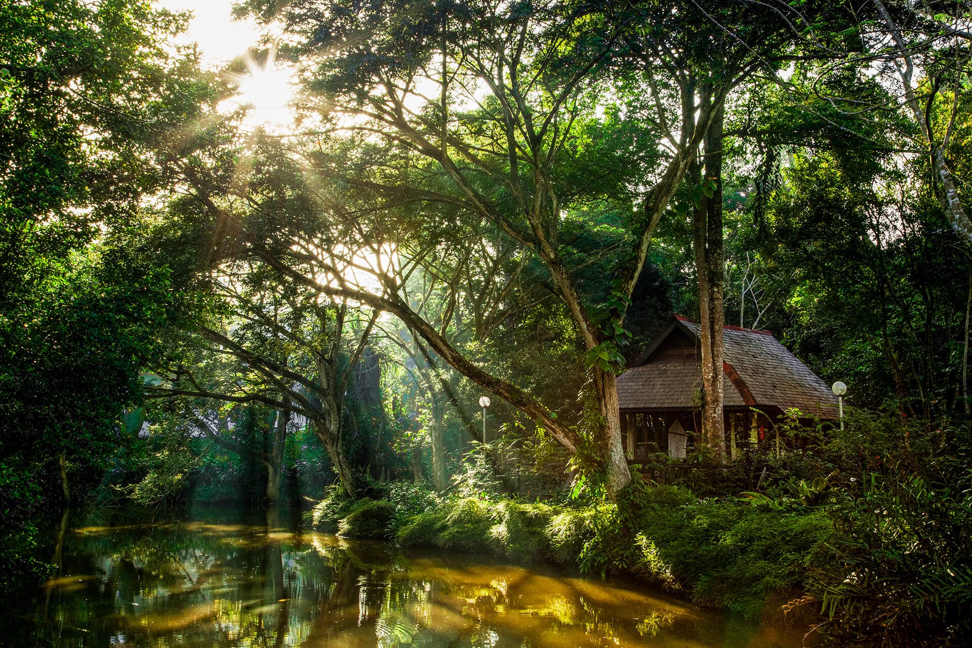 Heritage Collection jungle chalet, Sepilok Nature Lodge