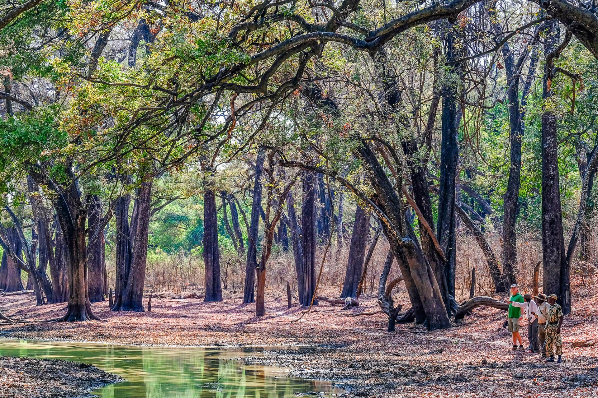 South Luangwa