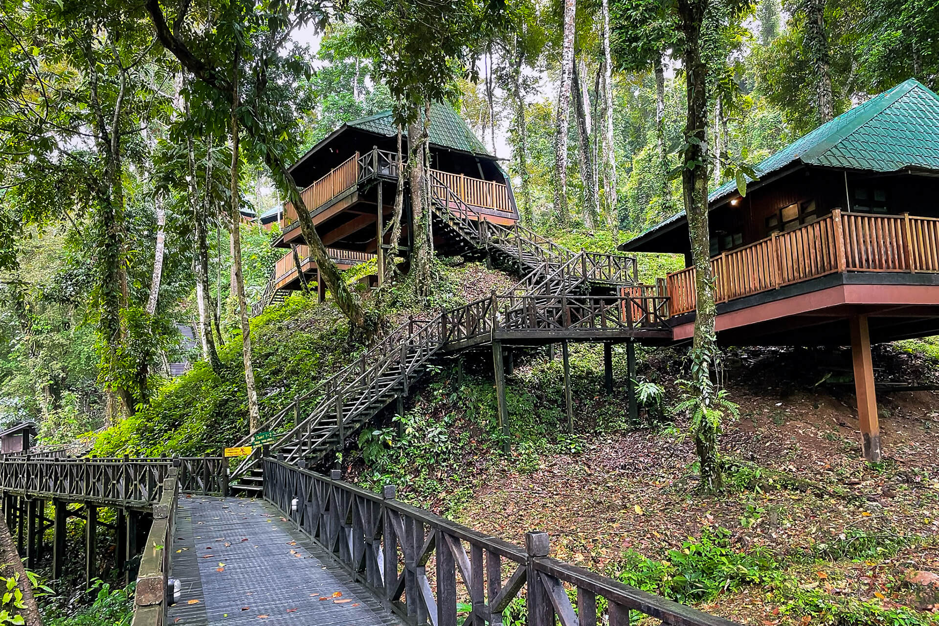 Hill Lodge, Tabin Wildlife Resort
