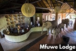 Mfuwe Lodge 300-200 thumb