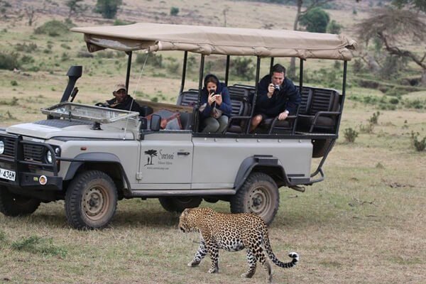 Saruni Mara Lodge - Safari Acacia