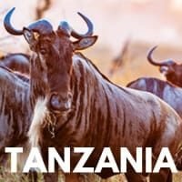 TANZANIA 200-200 thumb