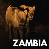 ZAMBIA 200-200 thumb