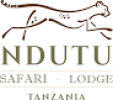 Ndutu Safari Lodge